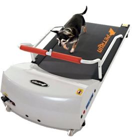 PetRun Small Dog Treadmill